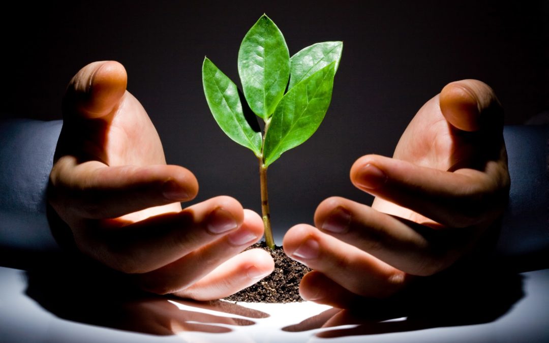 Why You Should Nurture the Clients of Your Law Firm